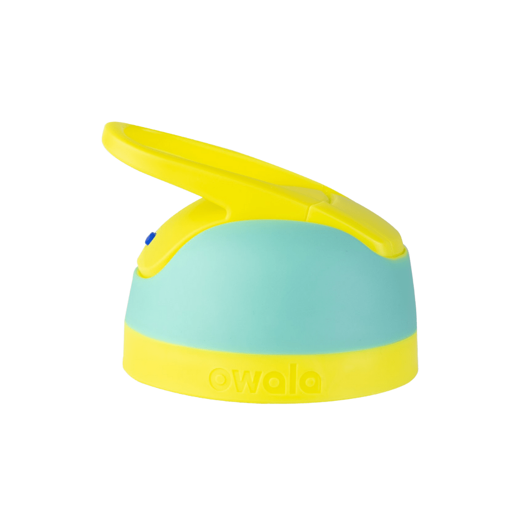 Replacement Lids - Desk Refills with Style