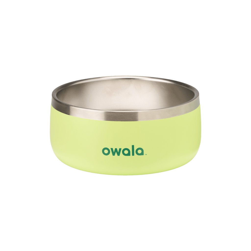 Pet Bowl - Refill Modern