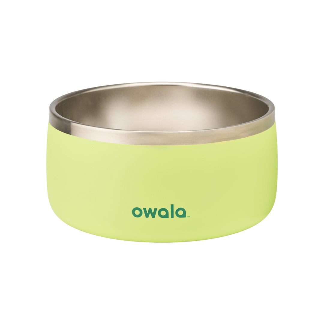 Pet Bowl - Refill Modern