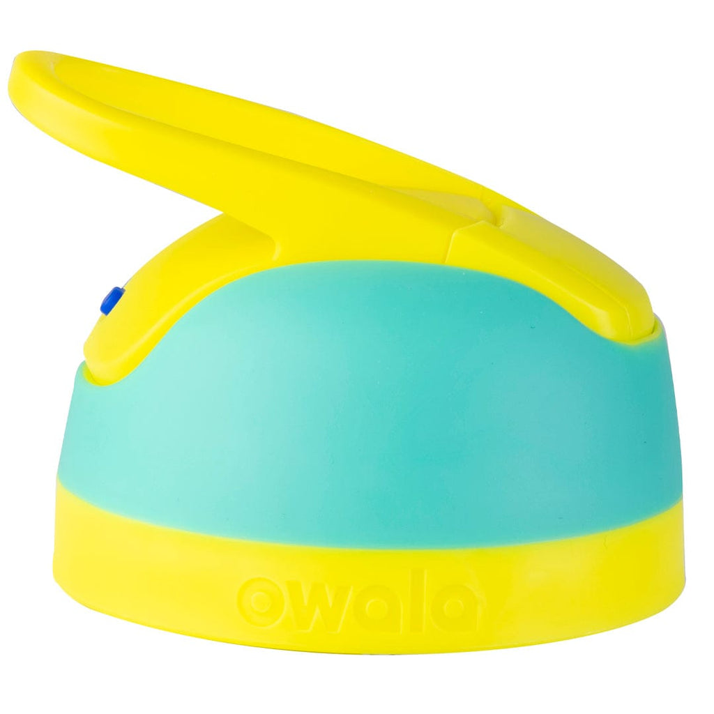 Replacement Lids - Desk Refills with Style