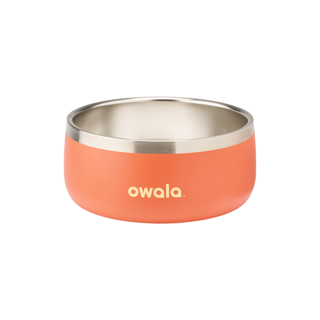 Pet Bowl - Refill Modern