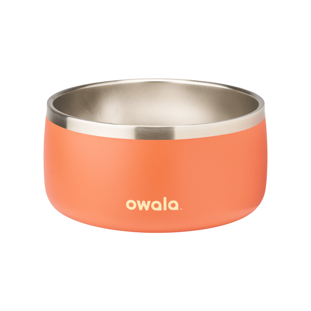 Pet Bowl - Refill Modern