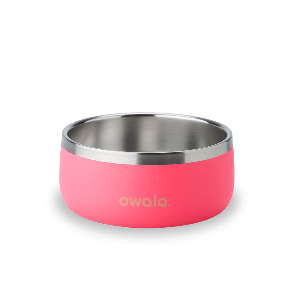 Pet Bowl - Refill Modern