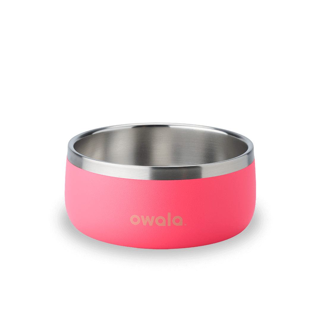 Pet Bowl - Refill Modern
