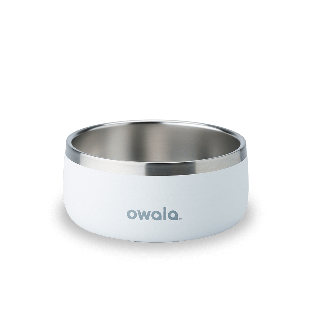 Pet Bowl - Refill Modern