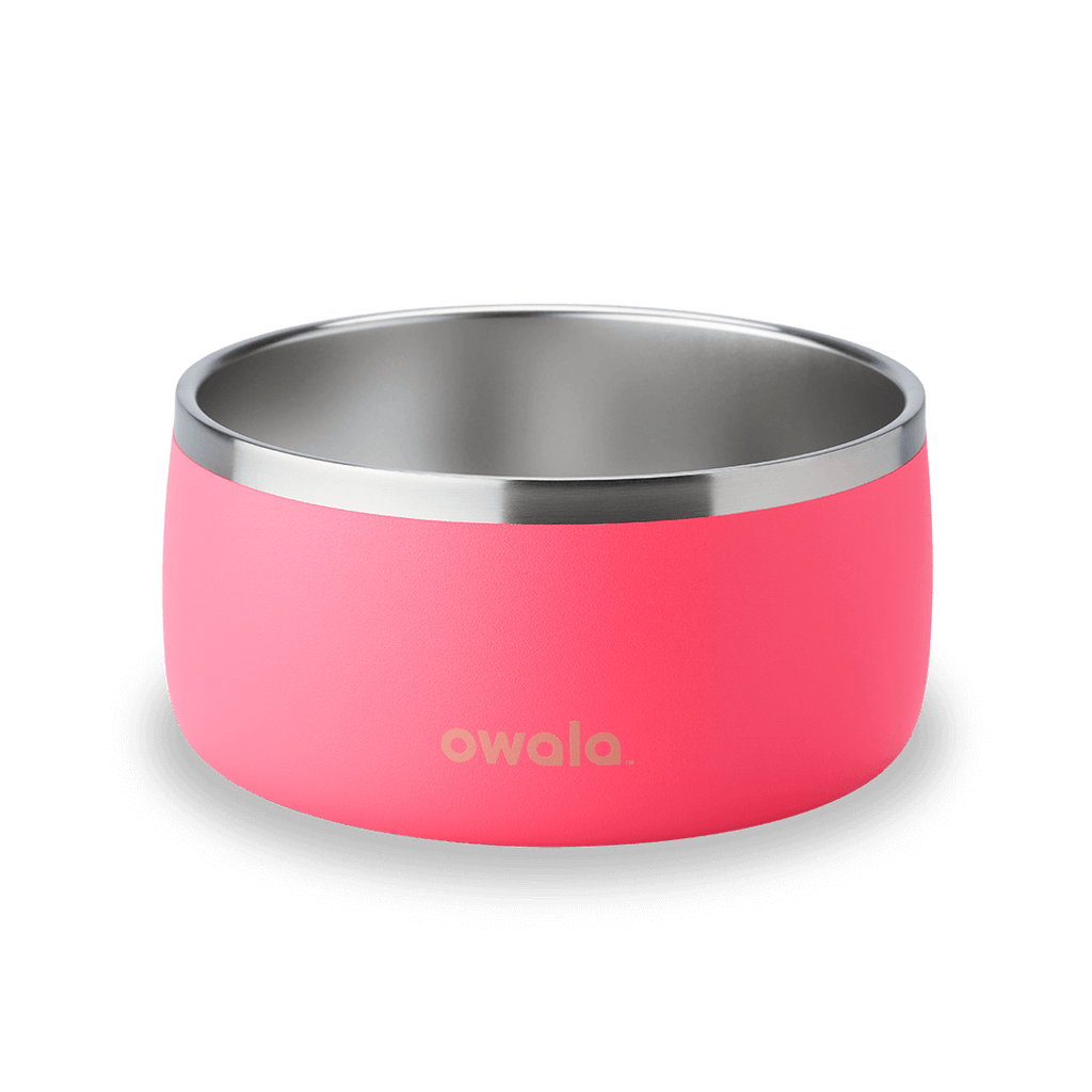 Pet Bowl - Refill Modern