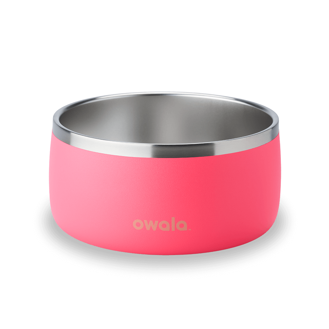 Pet Bowl - Refill Modern