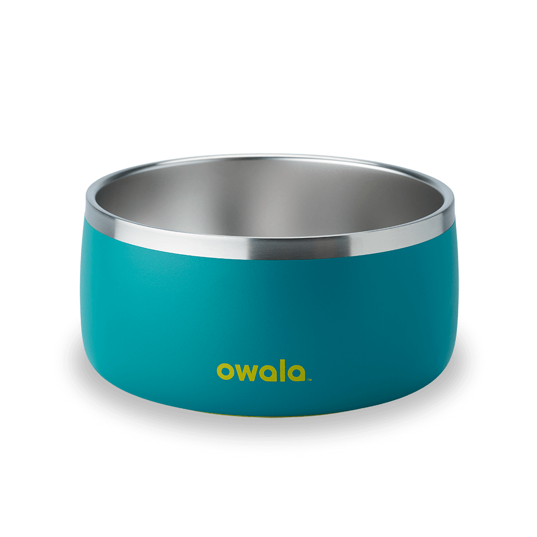 Pet Bowl - Refill Modern