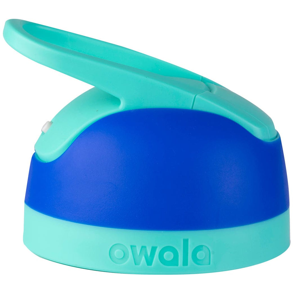 Replacement Lids - Desk Refills with Style