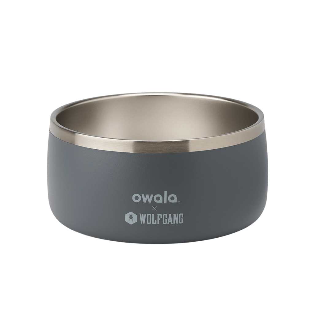 Pet Bowl - Refill Modern