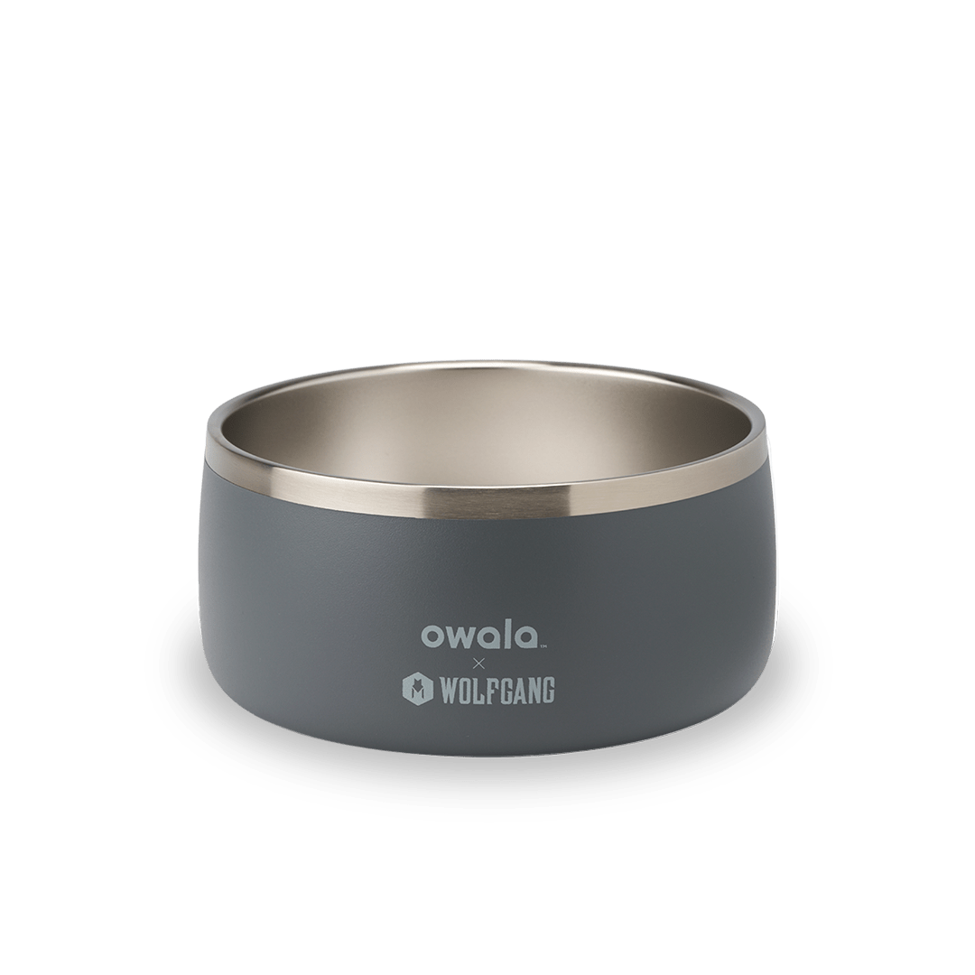 Pet Bowl - Refill Modern